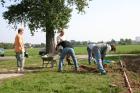 thumbs/bilder vom beachvolleyballplatz 014.jpg